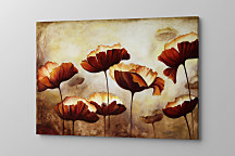 Obraz Velvet poppies zs1035